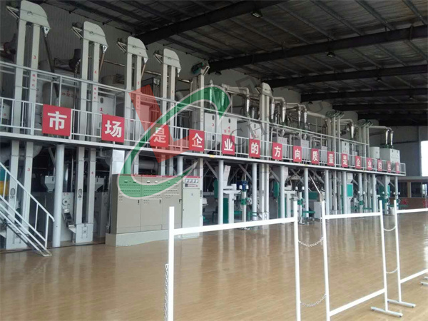 10噸級玉米加工設備